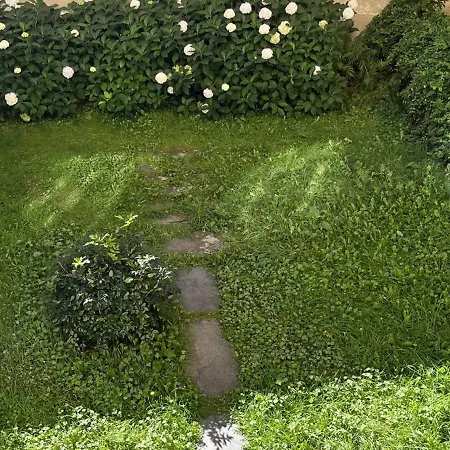 Spacieux Avec Jardin Et Parking Gratuit - Fr-1-234-311 Appartamento