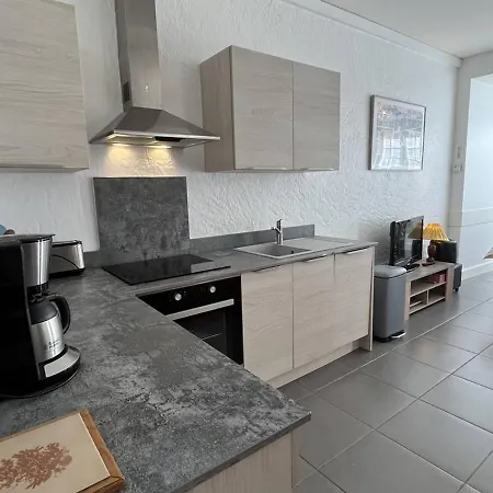 Spacieux Avec Jardin Et Parking Gratuit - Fr-1-234-311 Appartamento Cauterets